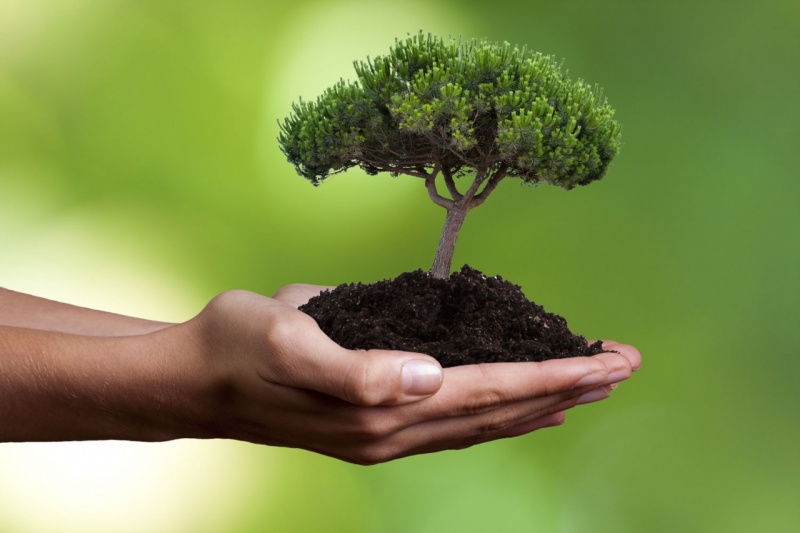 В Калужской области возрождают трудовые династии в лесной сфере.